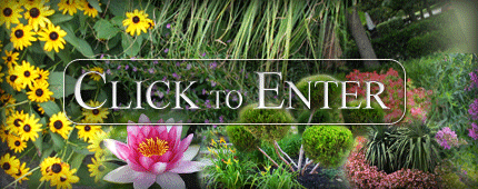 Landscaping Gallery - Land Pro Creations