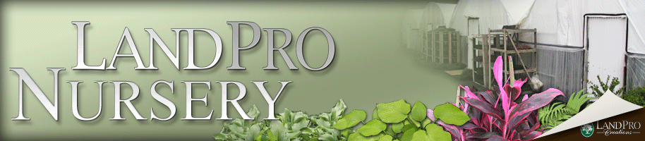 Land Pro Creations - Nursery