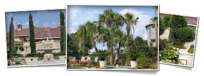 Land Pro Creations - Trees